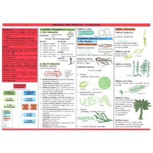 Botanika - tabulka přehled učiva