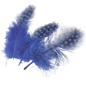 Dekorativní peříčka Guinea 20 ks, modrá