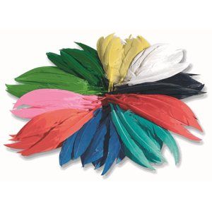 Indiánská barevná pera - 10-20 cm, 100 g