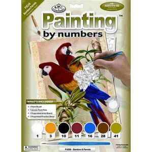 Malování podle čísel 22 × 30 cm - Papoušci