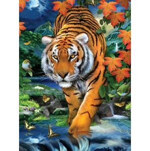 Malování podle čísel 22 × 30 cm - Tygr