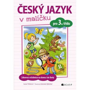 Český jazyk v malíčku pro 3. třídu - Lucie Víchová