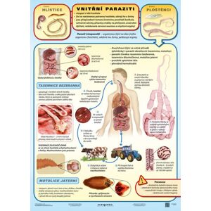 Vnitřní paraziti - tabulka A4