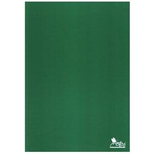 Záznamová kniha A4 100 listů čtverečekovaná - zelená