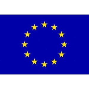 Stolní vlaječka EU - praporek s návlekem
