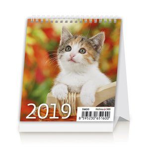 Kalendář stolní 2019 - Mini Kittens