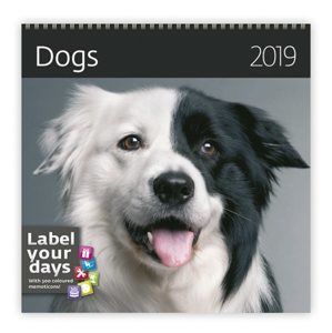 Kalendář nástěnný 2019 Label your days - Dogs