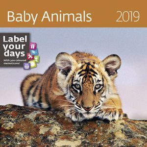 Kalendář nástěnný 2019 Label your days - Baby Animals
