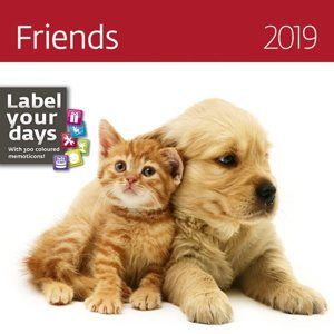 Kalendář nástěnný 2019 Label your days - Friends