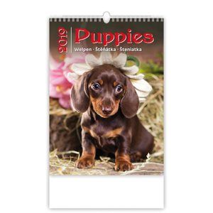 Kalendář nástěnný 2019 - Puppies