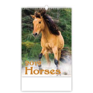 Kalendář nástěnný 2019 - Horses