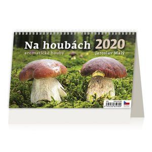 Kalendář stolní 2020 - Na houbách