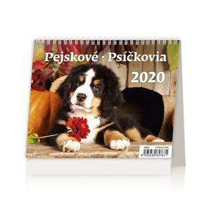 Kalendář stolní 2020 - Minimax Pejskové/Psíčkovia