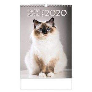 Kalendář nástěnný 2020 - Kočičky/Mačíčky