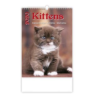 Kalendář nástěnný 2020 - Kittens/Katzenbabys/Koťátka/Mačičky