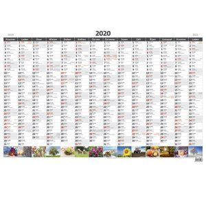 Kalendář nástěnný 2020 - Plánovací roční mapa A1 obrázková