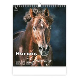 Kalendář nástěnný 2020 - Horses Dreaming