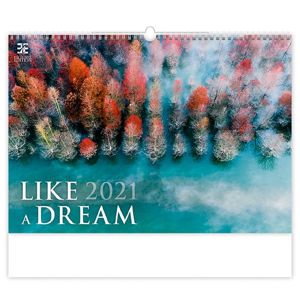 Kalendář nástěnný 2021 Exclusive Edition - Like a Dream