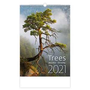 Kalendář nástěnný 2021 - Trees/Baume/Stromy