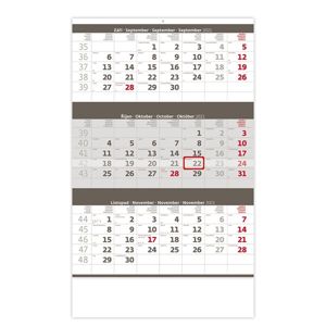 Kalendář nástěnný 2021 - Tříměsíční šedý