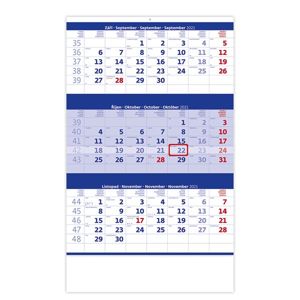 Kalendář nástěnný 2021 - Tříměsíční modrý