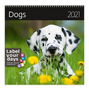 Kalendář nástěnný 2021 Label your days - Dogs