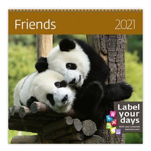 Kalendář nástěnný 2021 Label your days - Friends