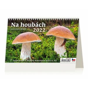 Kalendář stolní 2022 - Na houbách