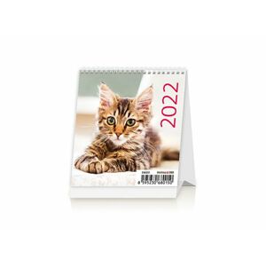 Kalendář stolní 2022 - Mini Kittens