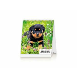 Kalendář stolní 2022 - Mini Puppies