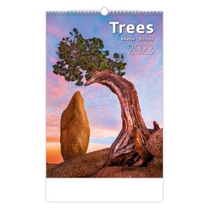 Kalendář nástěnný 2023 - Trees/Bäume/Stromy