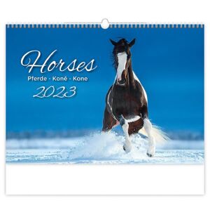 Kalendář nástěnný 2023 - Horses/Pferde/Koně/Kone