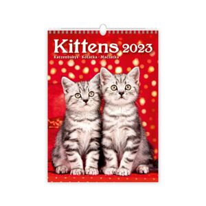Kalendář nástěnný 2023 - Kittens/Katzenbabys/Koťátka/Mačičky