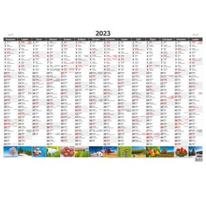 Kalendář nástěnný 2023 - Plánovací roční mapa A1 obrázková
