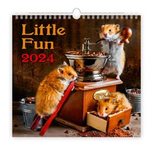 Kalendář nástěnný 2024 - Little Fun