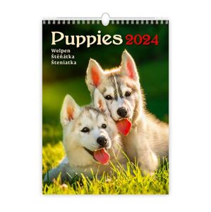 Kalendář nástěnný 2024 - Puppies/Welpen/Štěňátka/Šteniatka