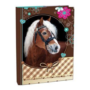 Box na sešity A4 Sweet Horse