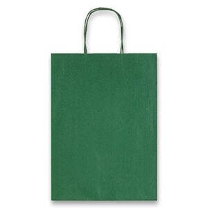Dárková taška Allegra 16 × 21 × 8 cm, kraft - zelená