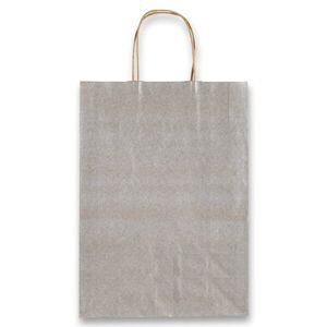 Dárková taška Allegra 26 × 36 × 12 cm, kraft - stříbrná