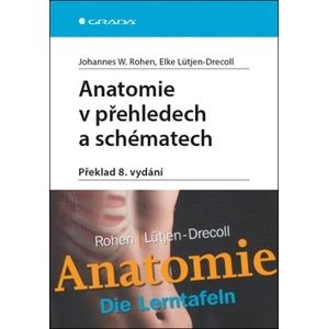 Anatomie v přehledech a schématech - Johannes W. Rohen; Elke Lütjen-Drecoll