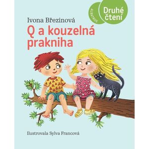 Q a kouzelná prakniha - Ivona Březinová
