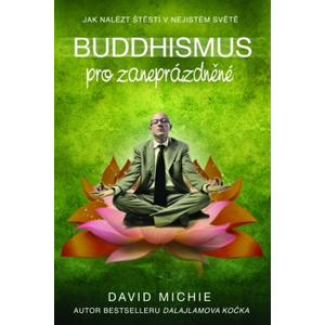 Buddhismus pro zaneprázdněné - David Michie