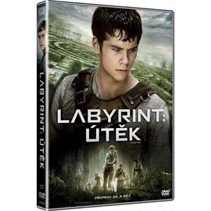 DVD Labyrint: Útěk - Wes Ball