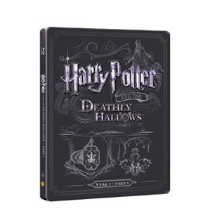 Harry Potter a Relikvie smrti - část 1. Blu-ray +DVD bonus - steelbook