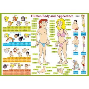 Human Body and Appearance - tabulka lamino A4