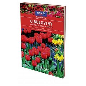 Cibuloviny - zahrada plus - neuveden