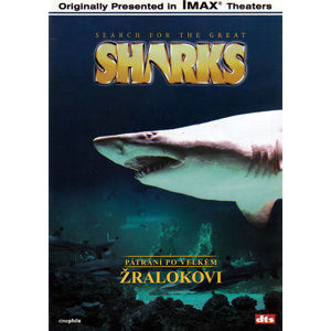 DVD - Pátrání po velkém žralokovi - IMAX /40min/ - neuveden