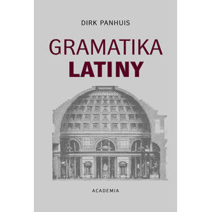 Gramatika latiny - Dirk Panhuis