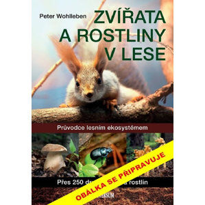 Zvířata a rostliny v lese - Wohlleben Peter