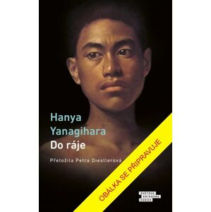 Do ráje - Yanagihara Hanya
